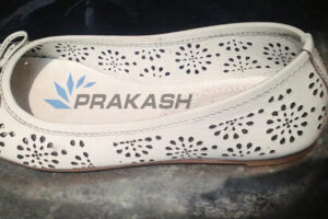 leather shoe industry