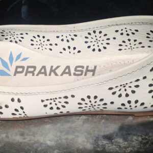 leather shoe industry